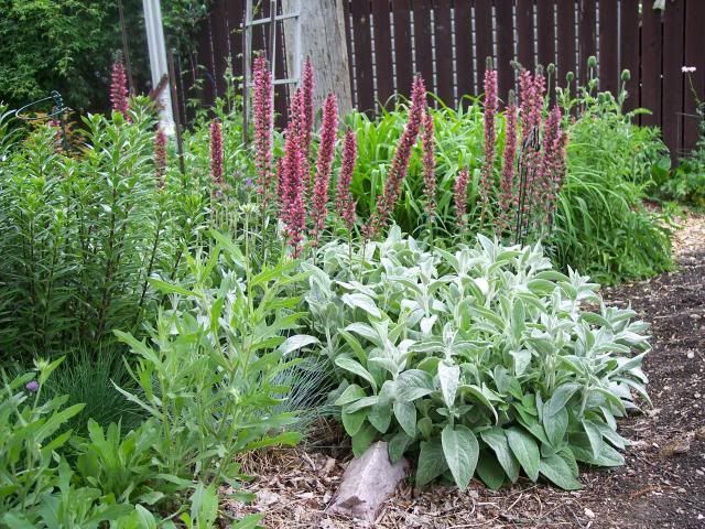  photo 100_4136_zps41e0224e.jpg